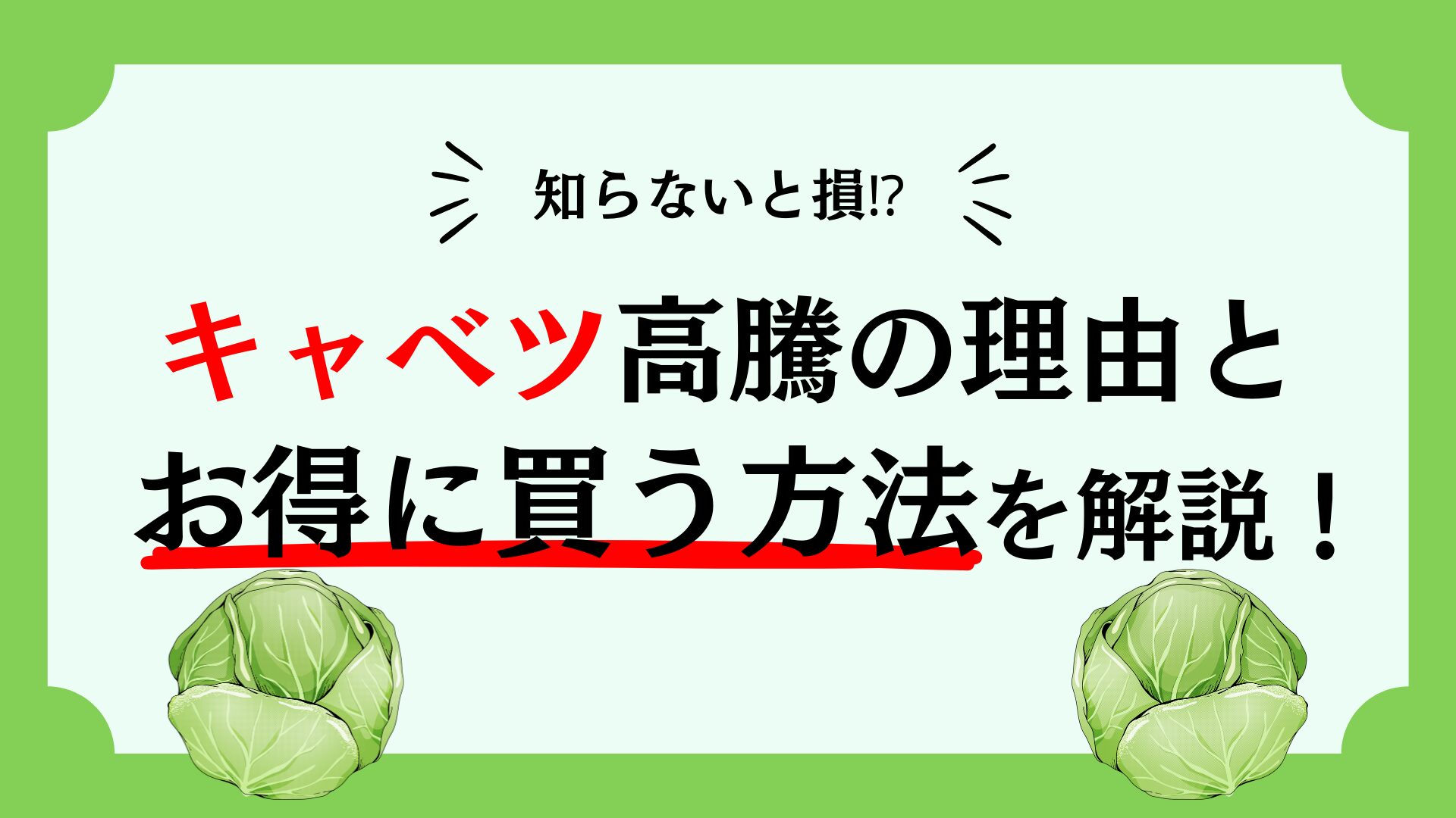 キャベツ 高騰 理由